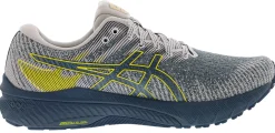 Running>Asics Men’s Walking Trail Cushioned Running Shoes GT 2000 10