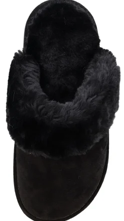 Slippers><noscript><img width=