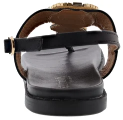 Flats><noscript><img width=